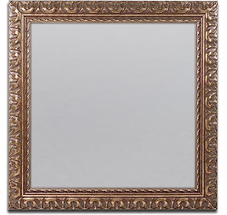 Trademark Fine Art Heavy Duty 16x16 Gold Ornate Picture Frame | Amazon (US)