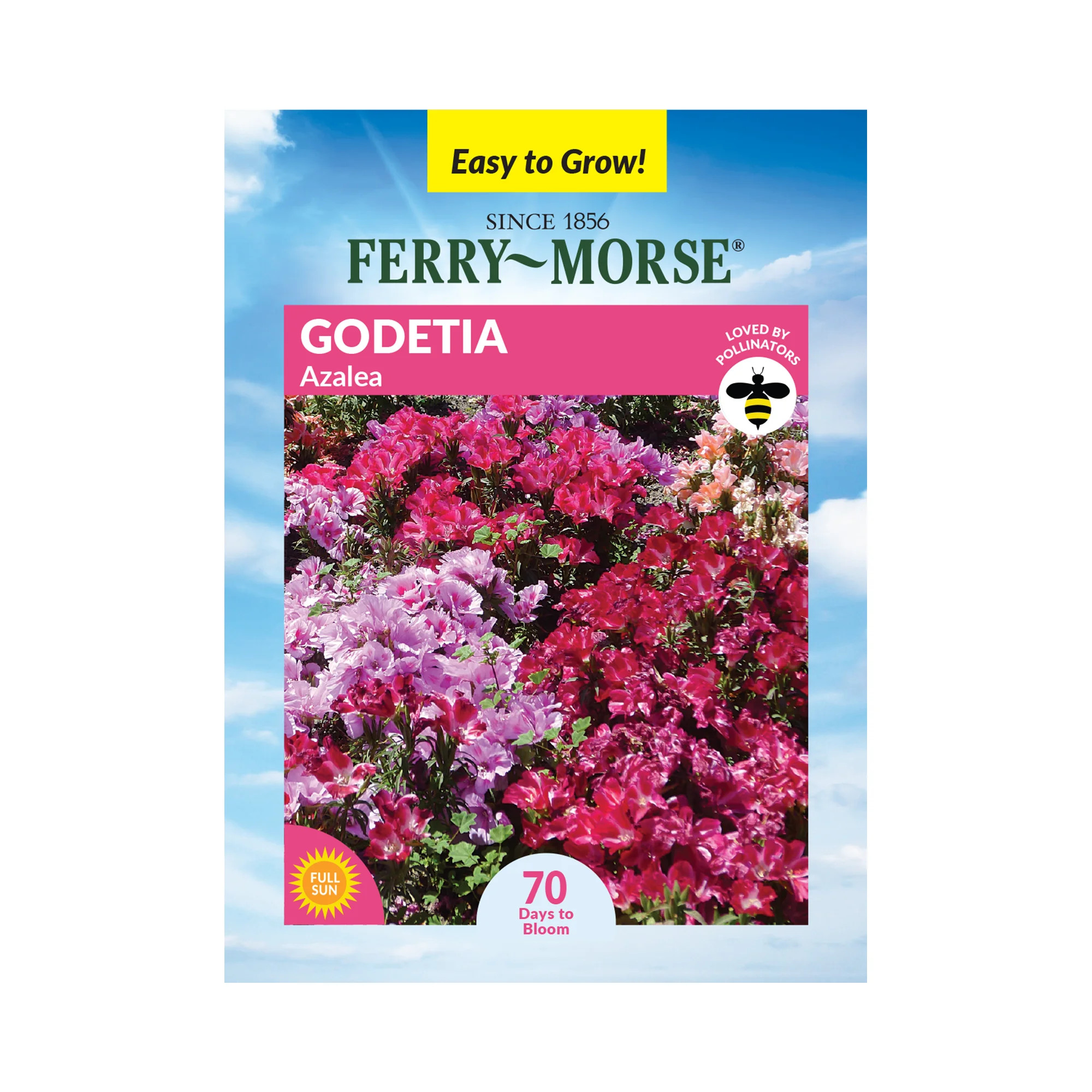 Ferry-Morse 100MG Godetia Azalea Annual Flower Seeds Full Sun | Walmart (US)