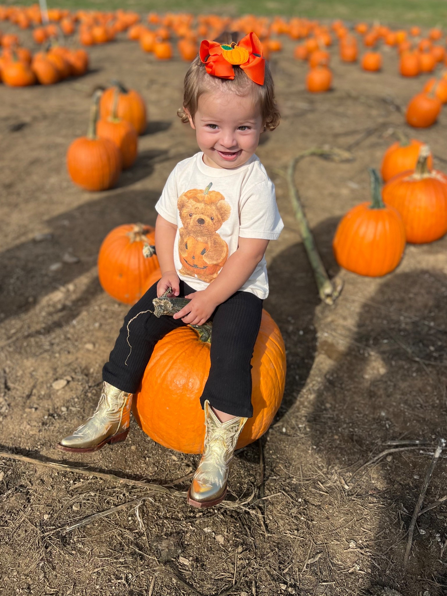 Pumpkin patch! 🎃🧺🍂🍁