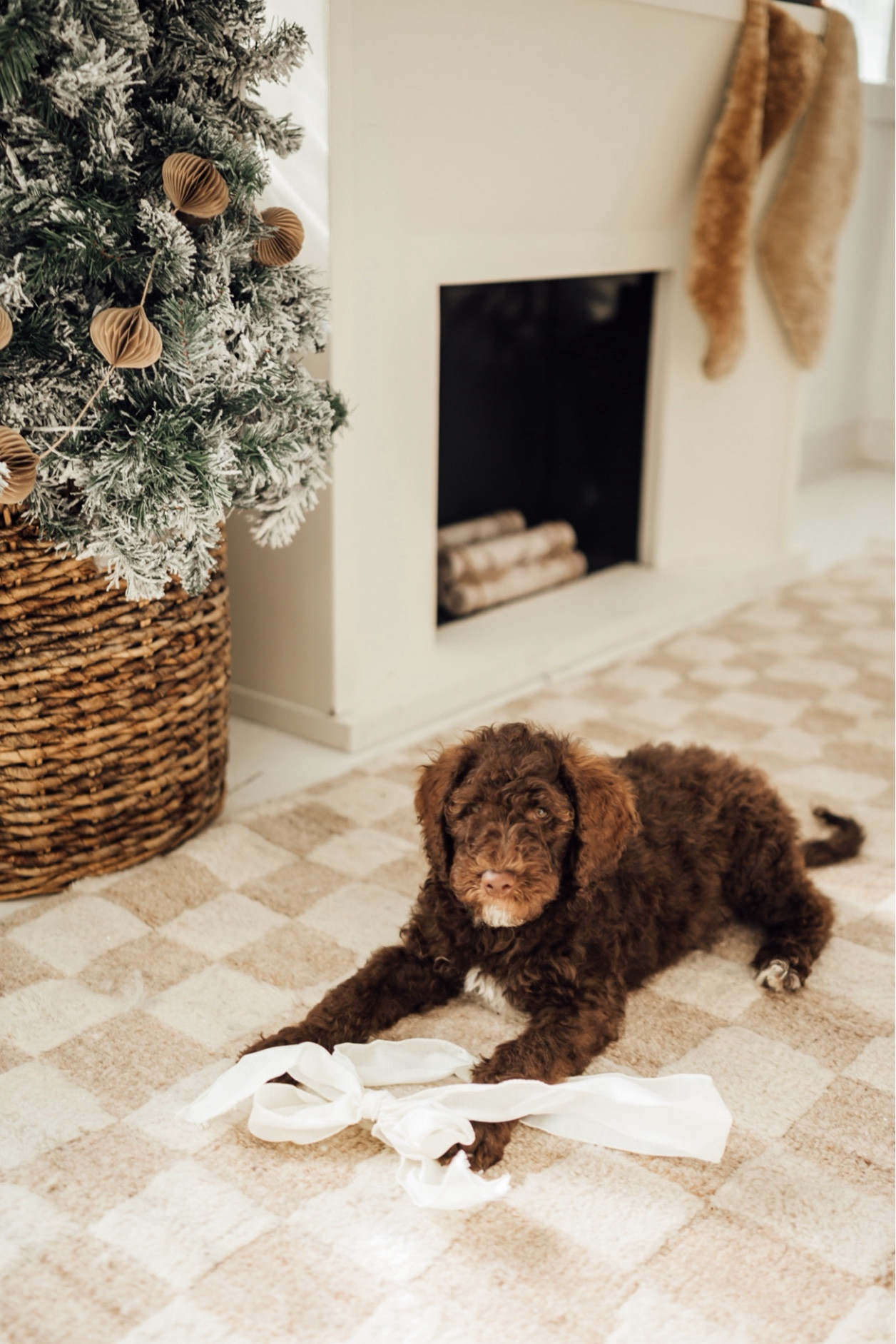 Checkered rug 

#LTKFamily #LTKHome #LTKHoliday