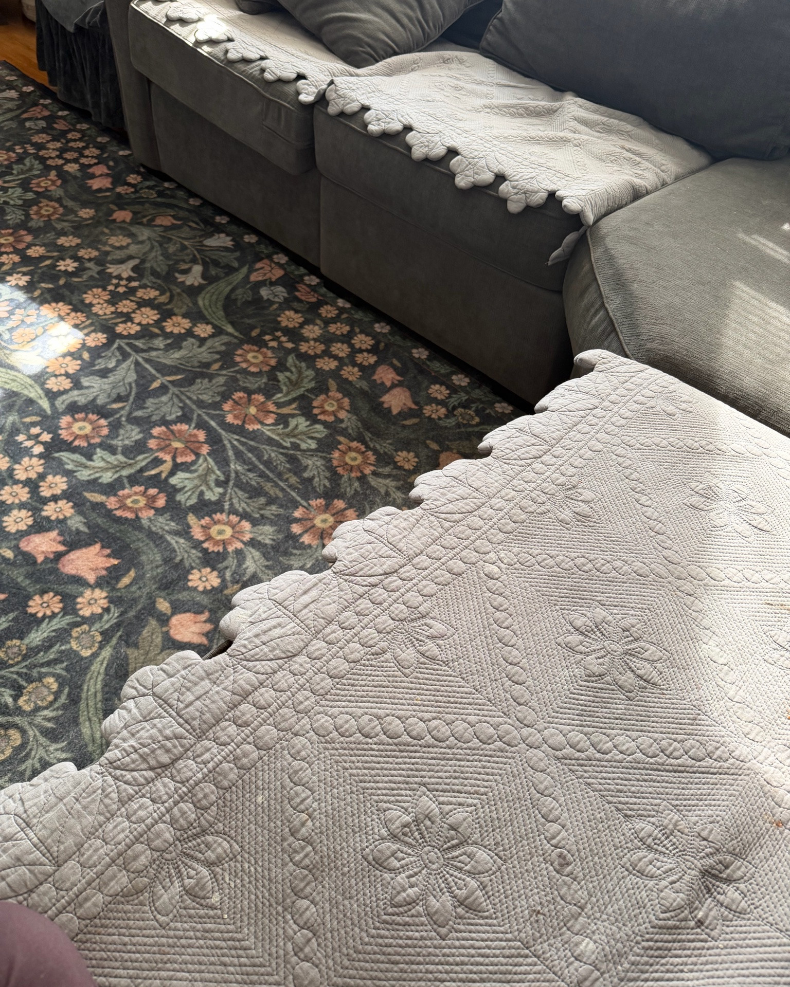 We also got couch covers