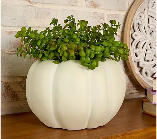 Simply Stunning 10" Indoor/Outdoor Pumpkin Planter by Janine Graff - QVC.com | QVC