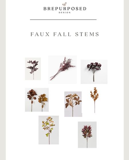 Foraging in nature is my favorite but sometimes you need stems that will last. Check out my fav faux stems for this year!

#LTKhome #LTKSeasonal