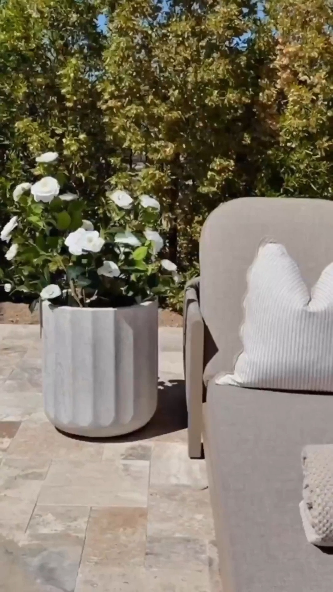 These chaise lounges + faux stone planters + faux flower trees + and umbrellas are GORGEOUS! Seriously.. I’m picky and I’m in LOVE! It’s giving relaxed resort vibes at home 🤍☀️

This has been my favorite spot the last few days 🤍

outdoor chaise lounge
faux stone planters
faux floral trees
scalloped umbrella outdoor
designer inspired patio
resort style outdoor space
amazon outdoor decor 
spring home decor 


#summerthompsonstyles


#LTKSeasonal #LTKHome #LTKdayinmylife