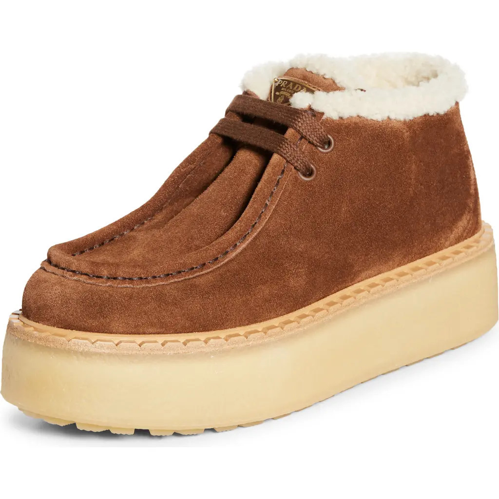 Prada Genuine Shearling Derby Bootie in Cacao at Nordstrom, Size 9.5Us | Nordstrom