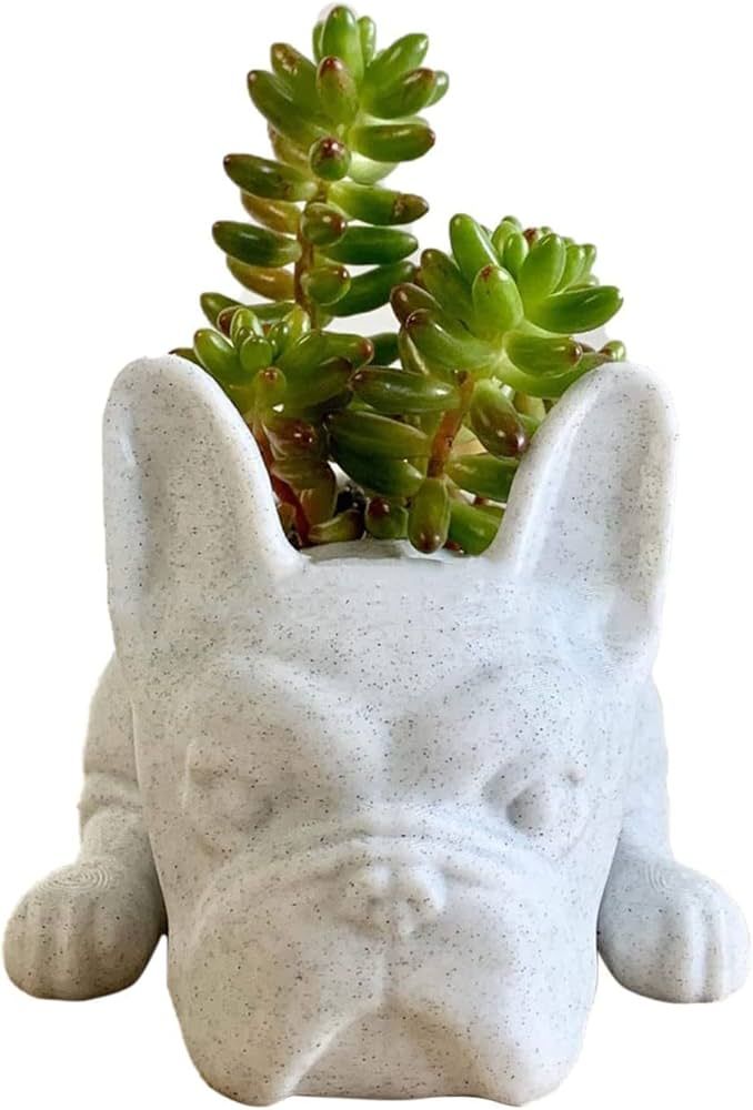 Succulent Planter Pots, French Bulldog Shape Resin Succulent Planter Desktop Plant Pot Bonsai for... | Amazon (US)