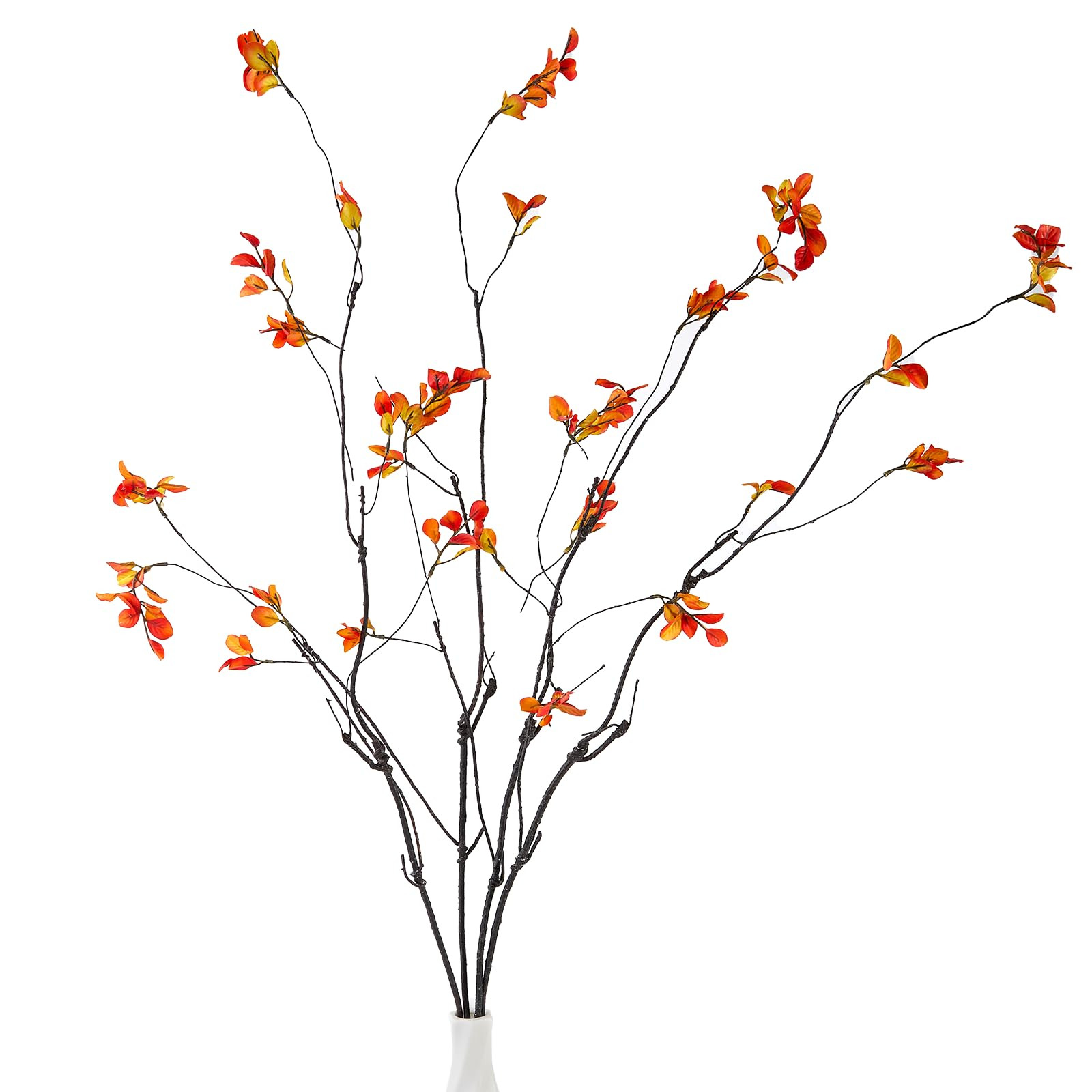 Ramas De Otoño  | Amazon (US)