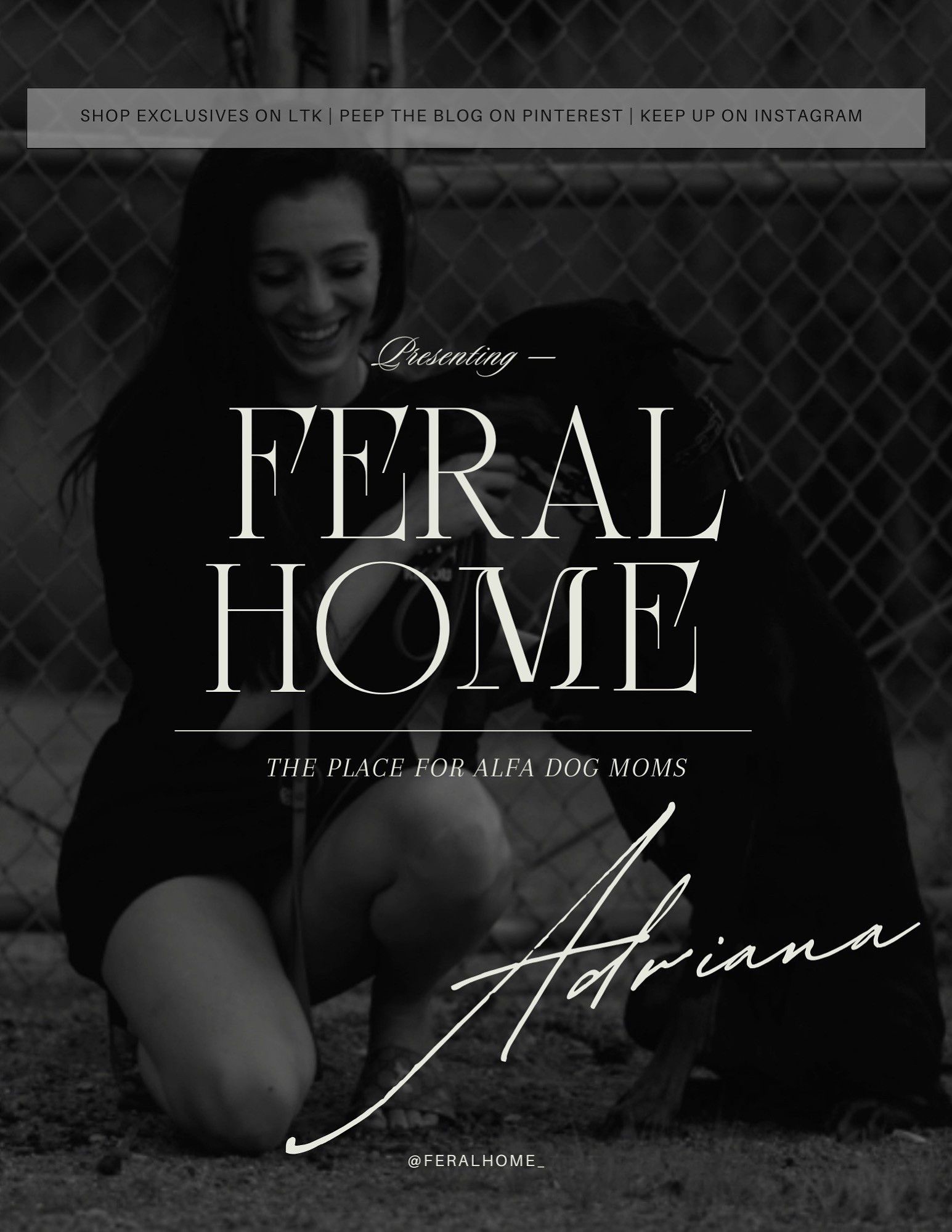 I stepped away for a while…

I got tired of a beige colored world. 
We live in a society where ordinary is the default - where everyone’s chasing fame with the same soft captions, the same curated lifestyle, the same three presets.

But my life?
It’s raw. It’s loud. It smells like wet fur and wild instinct.

Most people can’t handle that. 

The fur alone is enough to drive most away. 

But I don’t want perfect.
I want presence.
I want texture.
I want to make content that bites back.

My home isn’t beige.. it’s bark and bone, clay, dirt, mud and claw marks. Bite marks. Drool stains. 

My life isn’t meant to be pretty.

It’s meant to be felt.

This isn’t a comeback.

This is a reclamation.

I’m building something here for the untamed. For the dogs with teeth and the people who don’t flinch. For the people that don’t settle for the mainstream and strive to give their dogs more…

More life
More love 
More freedom 
More comfort 
More confidence 
More time 

Somewhere between bone and soil, I remembered what I came here to do.

I remembered who drives me. What the purpose of it all really is. 

The dog who guards your silence.
The room that smells like wild things and linen.
The home where dogs are the center of everything. 

New & redone, welcome to Feral Home. Where the aesthetic is grit, dirt and a whole lot of love. 

Follow for exclusive shopping links, blogs on Pinterest/Facebook & keep up with us here on Instagram @feralhome_

#LTKActive #LTKTravel #LTKPets