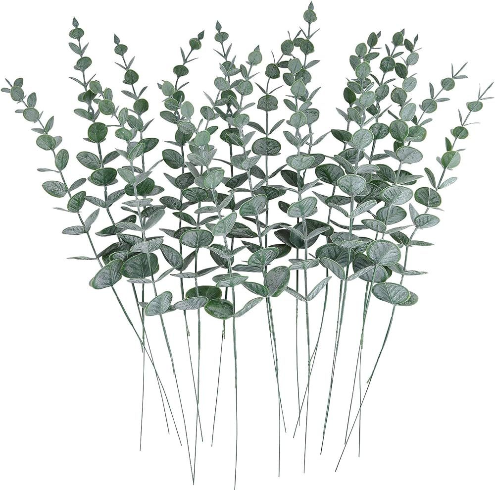 CEWOR 24pcs Eucalyptus Stems Artificial Eucalyptus Leaves Faux Greenery Branches Fake Flowers for... | Amazon (US)