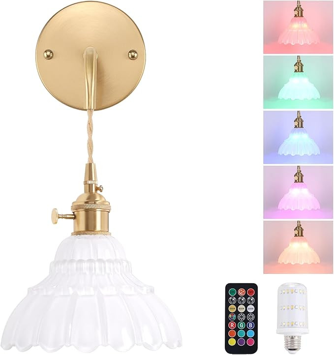 Battery Operated Wall Sconce with White Lily of The Valley Shade Glass Adjustable Chain Retro Wal... | Amazon (US)