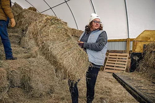 Carhartt Acrylic Watch Hat | Dick's Sporting Goods