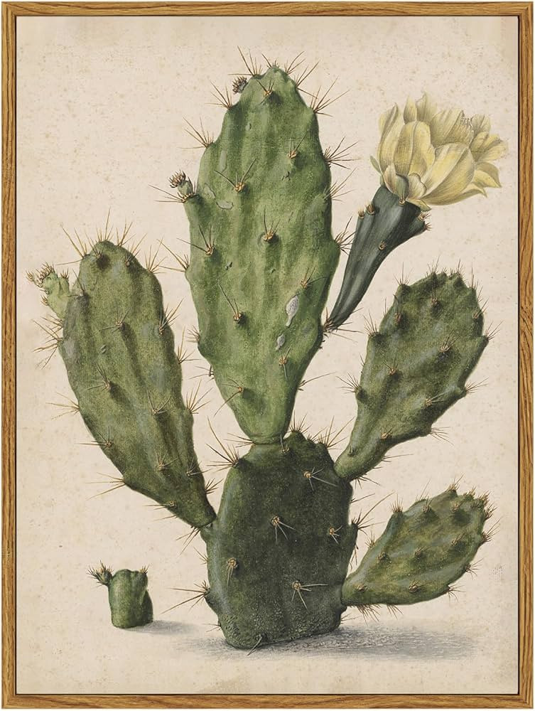 ARPEOTCY Vintage Framed Cactus Wall Art, Botanical Floral Art Home Farmhouse Country Decor, Canva... | Amazon (US)