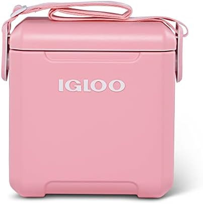 Igloo 11 Qt Tag Along Too Strapped Picnic Style Cooler | Amazon (US)