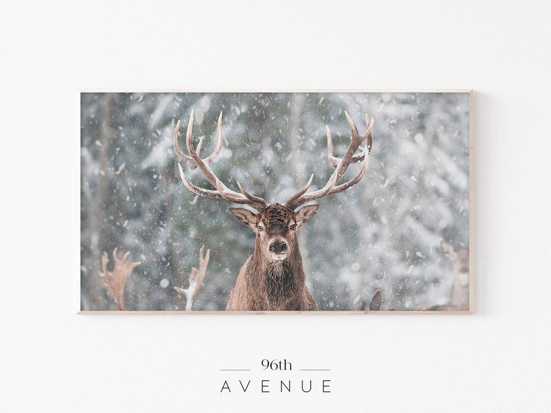 Samsung Frame Tv Reindeer in Snow  Winter Wall Art  Deer Art - Etsy | Etsy (US)
