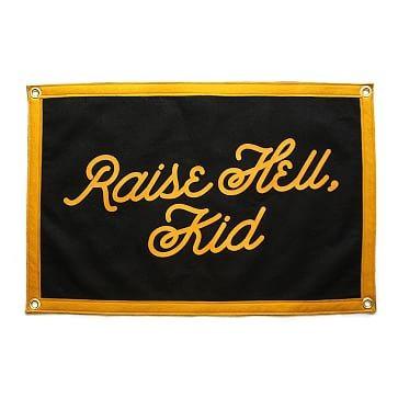 Oxford Pennant Raise Hell Kid Camp Flag | West Elm (US)