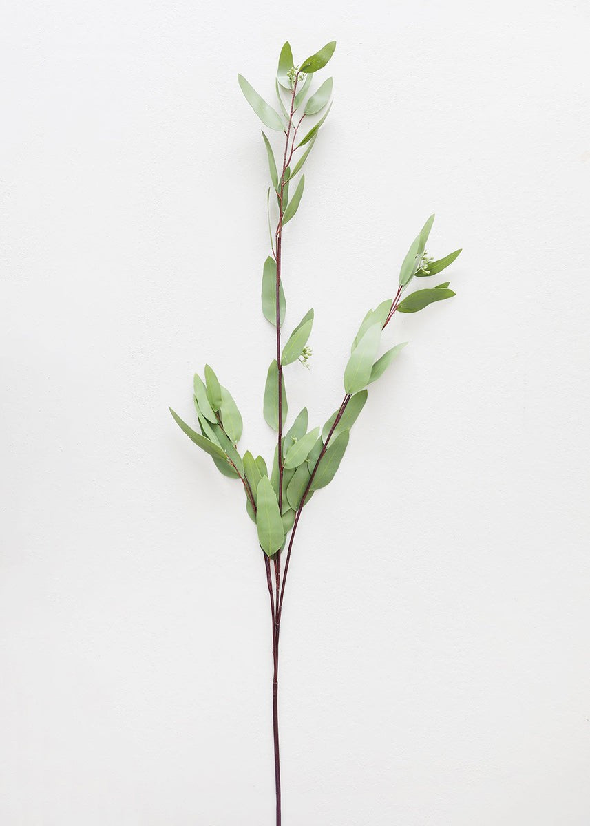 Real Touch Seeded Eucalyptus Weeping Leaf Branch - 52 | Afloral (US)