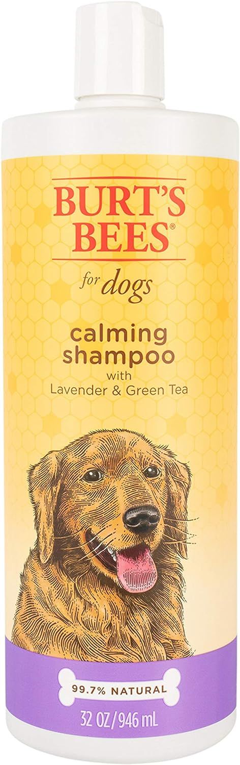 Burt's Bees for Dogs Natural Calming Dog Shampoo with Lavender and Green Tea - Lavender Dog Shamp... | Amazon (US)