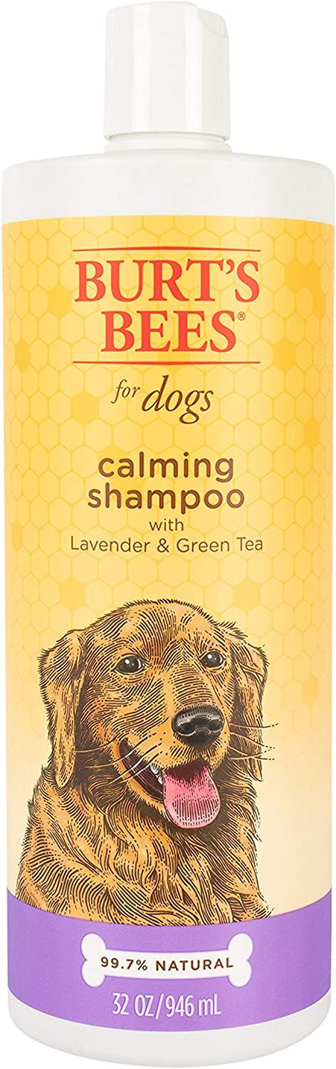 Burt's Bees for Dogs Natural Calming Dog Shampoo with Lavender and Green Tea - Lavender Dog Shamp... | Amazon (US)