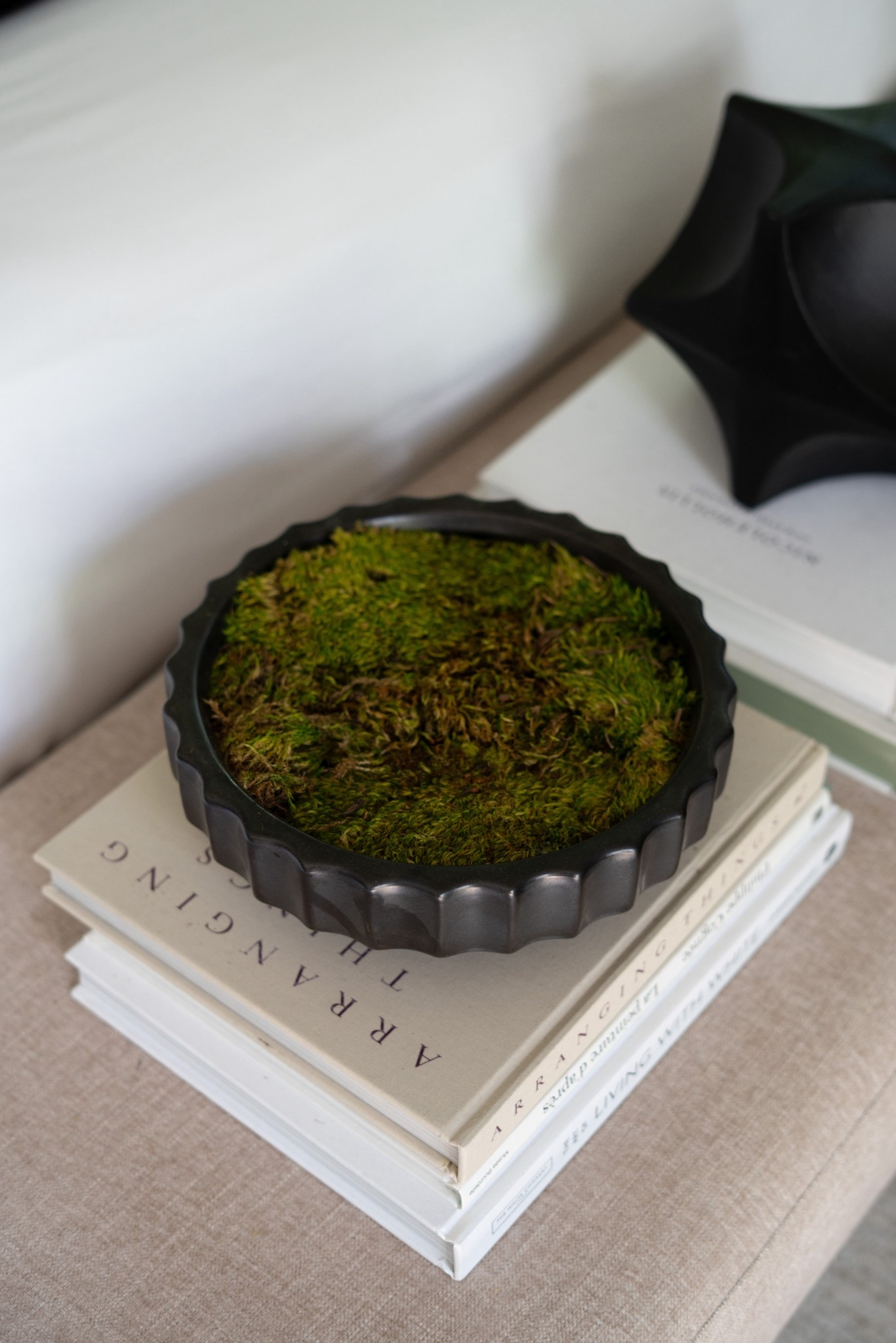 Oh my gosh, let’s talk about moss for a second because I am absolutely obsessed! Moss and moss balls are such an easy, genius way to bring a pop of organic, natural texture into your home. They add this fresh, earthy vibe that feels so effortless and totally modern organic — no watering or fuss required! I love styling them in sculptural bowls, layering them on top of stacked coffee table books, or even popping them into a simple vase. It’s that perfect little dose of greenery that makes a space feel alive, curated, and calm. Trust me, moss is a total design game-changer!


#LTKHome #LTKSeasonal #LTKStyleTip