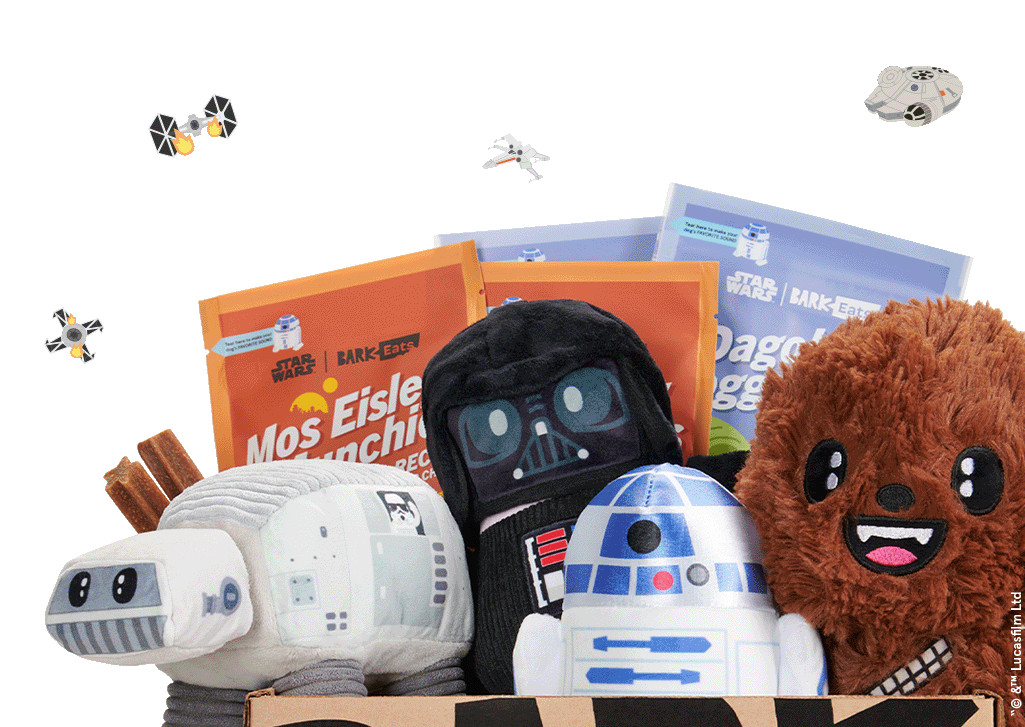 Star Wars Bark Box Subscription | BarkBox