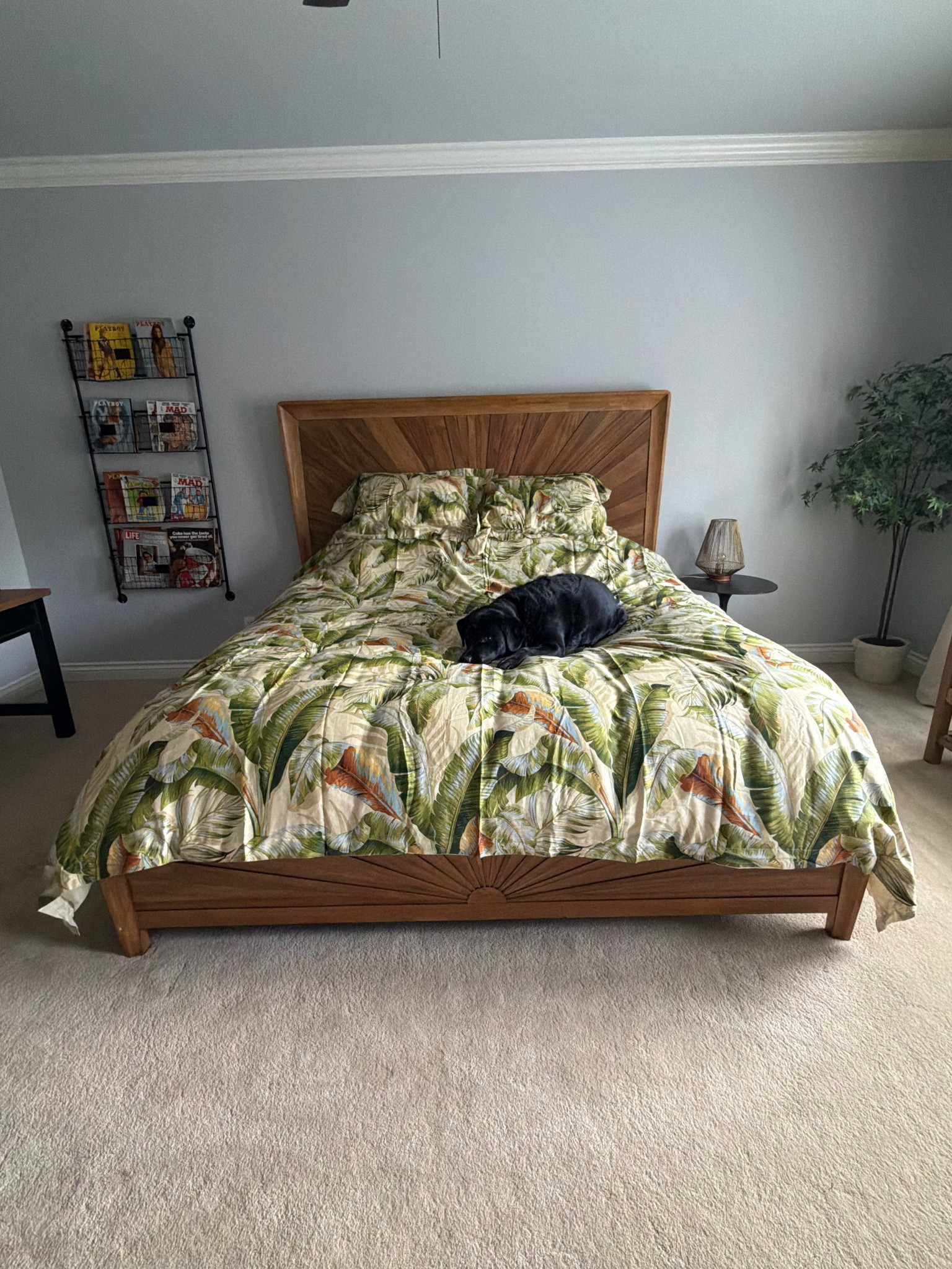 New bedding in our guest room!

#LTKSaleAlert #LTKHome #LTKdayinmylife