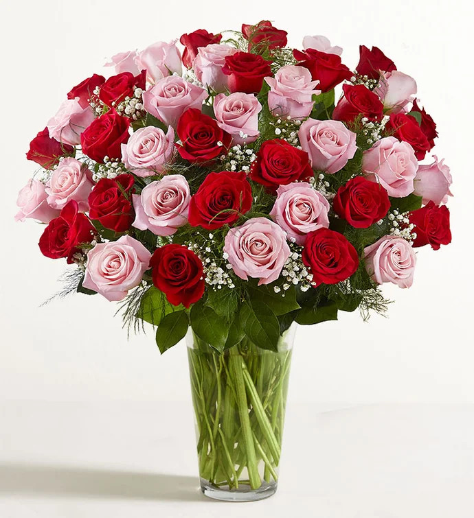 Ultimate Elegance™ Long Stem Pink & Red Roses | 1800flowers.com