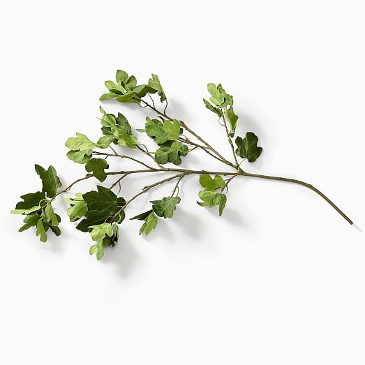 Faux Fig Tree Branch | West Elm (US)