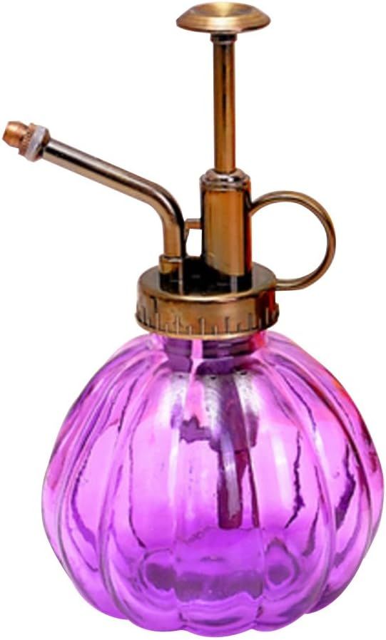 Layboo Vintage Style Transparent Glass Pumpkin Bottle Sprayer Watering Can Plant Mister (Purple) | Amazon (US)