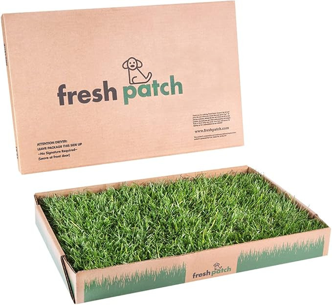 Fresh Patch Disposable Dog Potty with Real Grass | Amazon (US)
