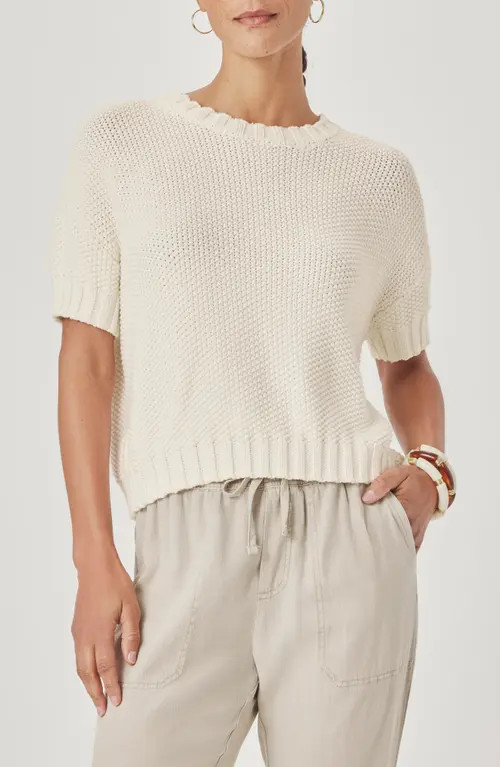 Splendid Annmarie Cotton Sweater in Shell White at Nordstrom, Size X-Large | Nordstrom