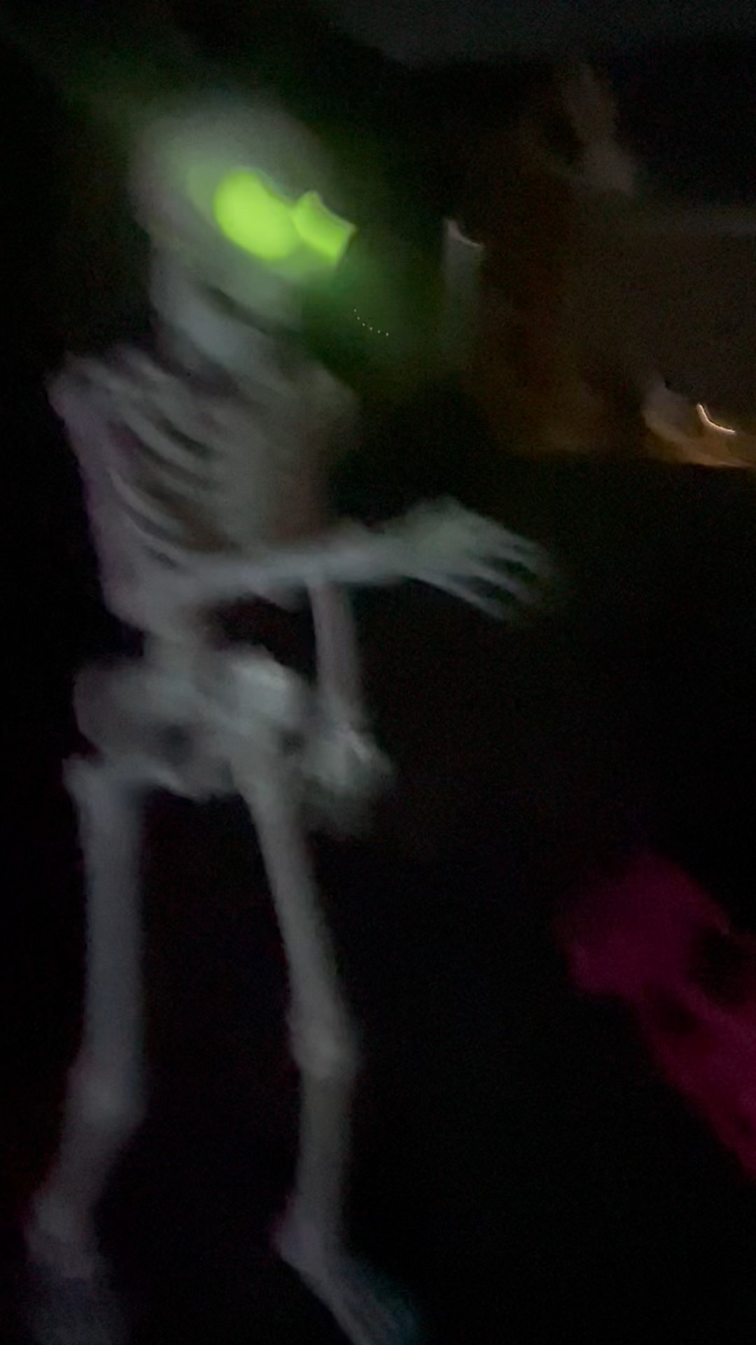 Our 68” skelly is back in stock… RUN - these always go so fast! I 

#LTKHome #LTKSeasonal
