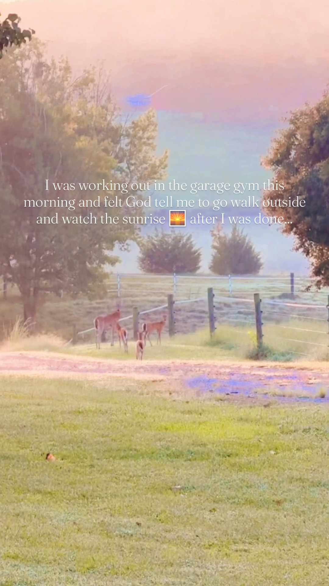 what a view 🦌🌅🦌🌅🦌🌅🦌 #thankyoujesus #deerupondeer #deeronthefarm #sunriseonthefarm #immeasurablymore 

I was working out in the garage gym (with it being darker now before @wesmabry heads to work, our new little treadmill has been amazingggg 👏🏽 for getting in a morning workout 🤸🏼‍♂️ before the littles wake up!! 👶🏼 💤 ) this morning and felt God tell me to go walk outside and watch the sunrise 🌅 after I was done. And I kid you not. THIS is what I saw. More deer than I could even count. Everywhere I looked 🌳, they just kept 👏🏽 on 👏🏽 comin’ 👏🏽!!! You can’t tell me Jesus isn’t real! 🦌🦌🦌

God is just so good!! 🙌🏽 Had to share this  because I’m so glad I listened to that Holy Spirit “tug” and didn’t miss what HE wanted me to see this morning!! 🦌🌅🤍 He is all around (when we look for Him!) and loves you so so much - never forget that!!! 💖 The earth 🌎 is full (!!) of His glory!! 🌟 

“Now to him who is able to do immeasurably more than all we ask or imagine, according to his power that is at work within us, to him be glory in the church and in Christ Jesus throughout all generations, for ever and ever! Amen.” // Ephesians 3:20-21 💫✨
