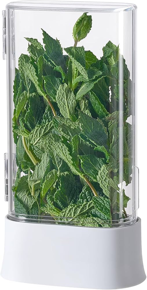 vacane Herb Keeper for Refrigerator, Fresh Herb Saver Herb Storage Containers, Cilantro Container... | Amazon (US)