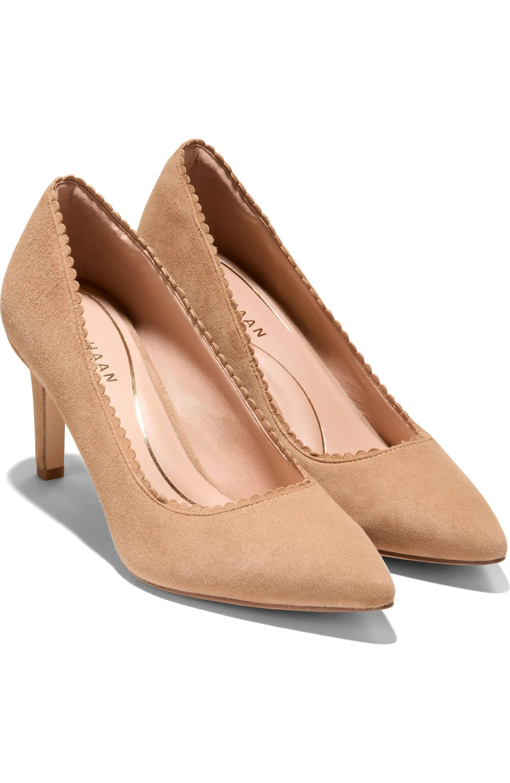 Bellport Pointed Toe Pump (Women) | Nordstrom