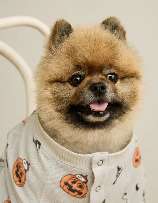ABO Luxe Plush Snoopy PJ Top | American Eagle Outfitters (US & CA)
