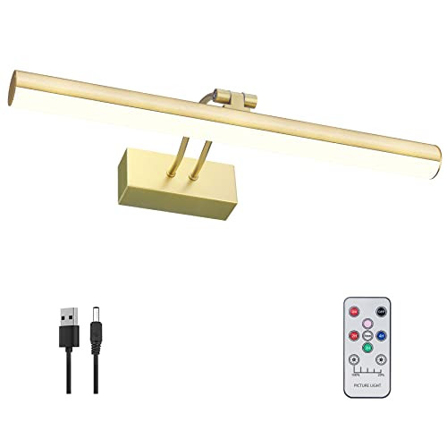RAIFOOLLY Picture Light, Rechargeable Picture Lights for Paintings,Remote Control Display Art Light with Timer and Dimmable for Painting,Frame, Portrait, Dart board,L-Gold | Amazon (US)