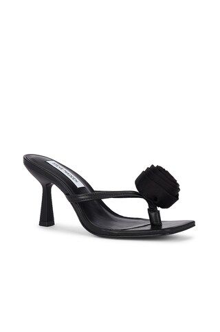 Steve Madden Jannie Sandal in Black from Revolve.com | Revolve Clothing (Global)