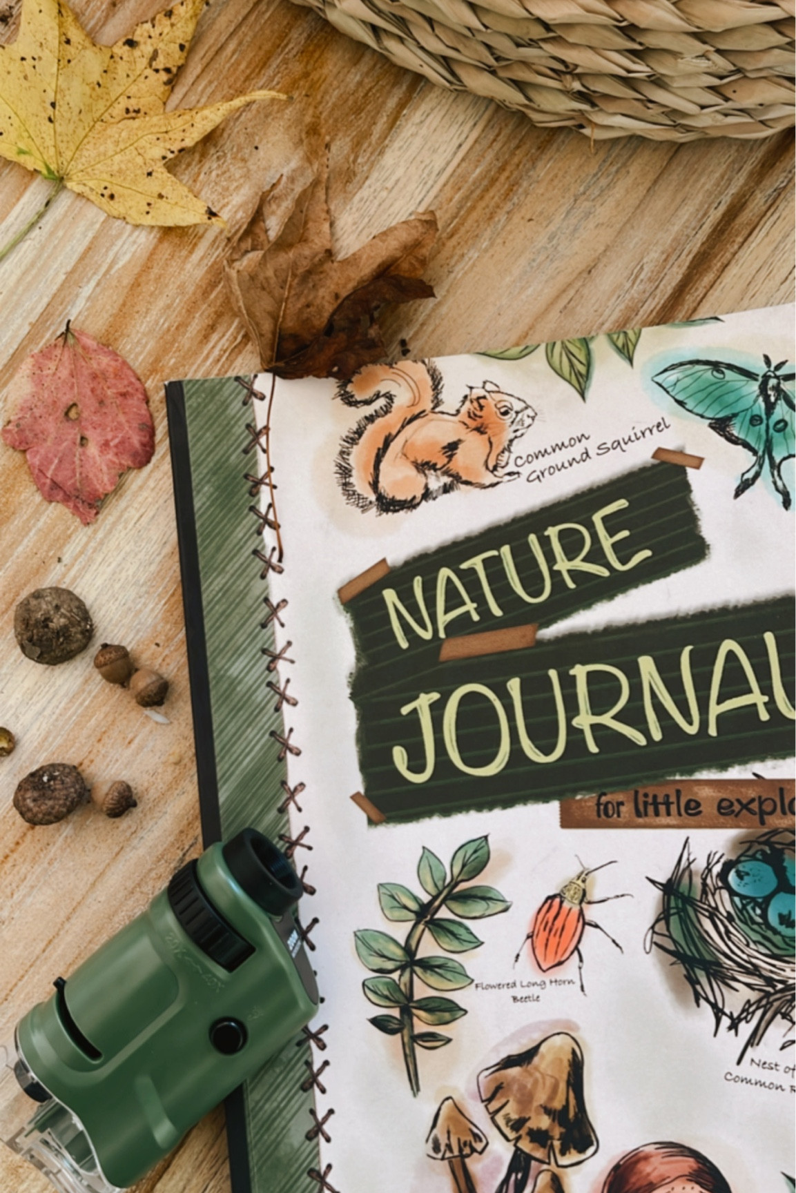 Nature journaling + pocket microscope 

#LTKkids #LTKSeasonal #LTKhome