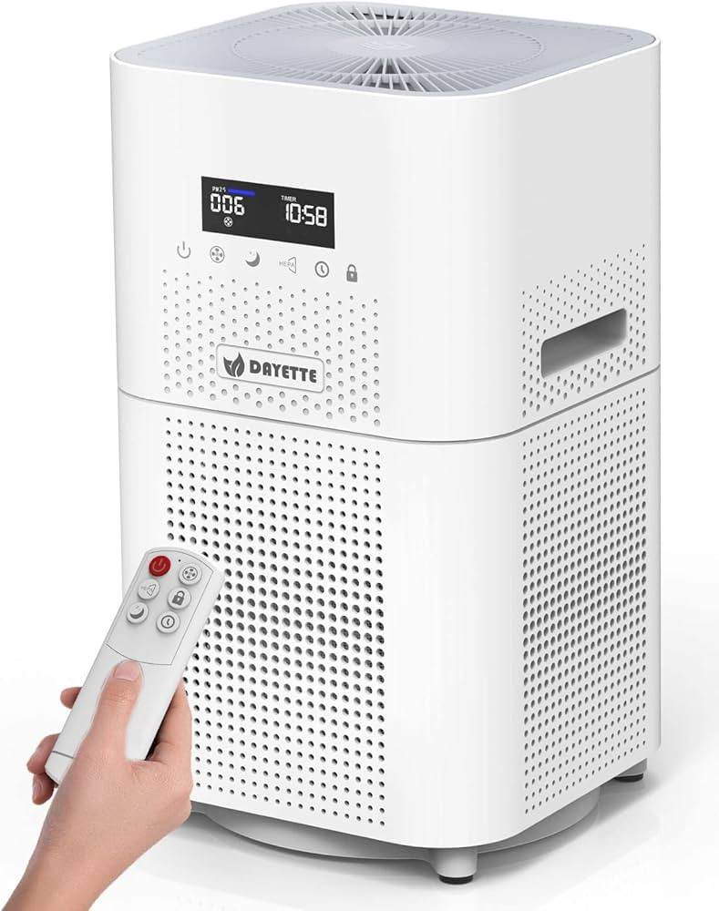 Dayette HEPA Air Purifiers for Home Large Room up to 3000 Sq Ft, H13 Ture Hepa Air Filter for All... | Amazon (US)