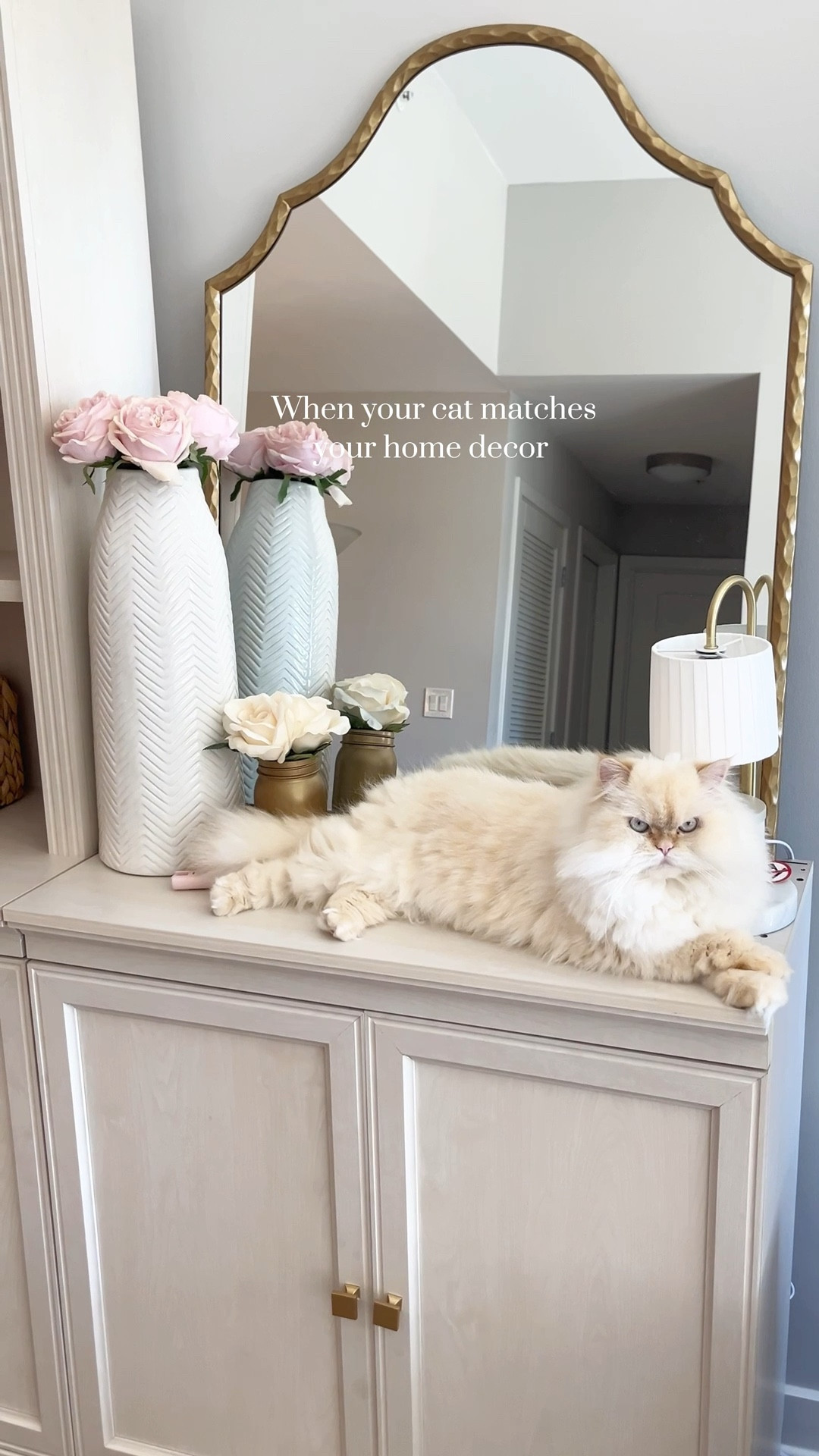 Amazon must haves | Amazon finds | viral Amazon find | Amazon home decor | affordable home decor | | gifts for her Amazon home finds | amazon luxury finds | amazon aesthetic home

Affordable home decor | elevated home decor | elegant home decor | neutral home decor | white home decor | aesthetic home | home finds under $50 |  | apartment decor | affordable apartment finds | apartment finds | look for less | gift ideas | gold home accents 

#LTKHome #LTKdayinmylife