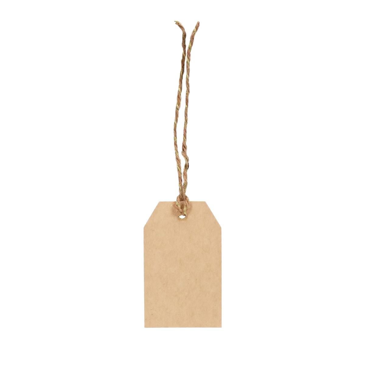 10ct Kraft Gift Tags Brown - Spritz™ | Target