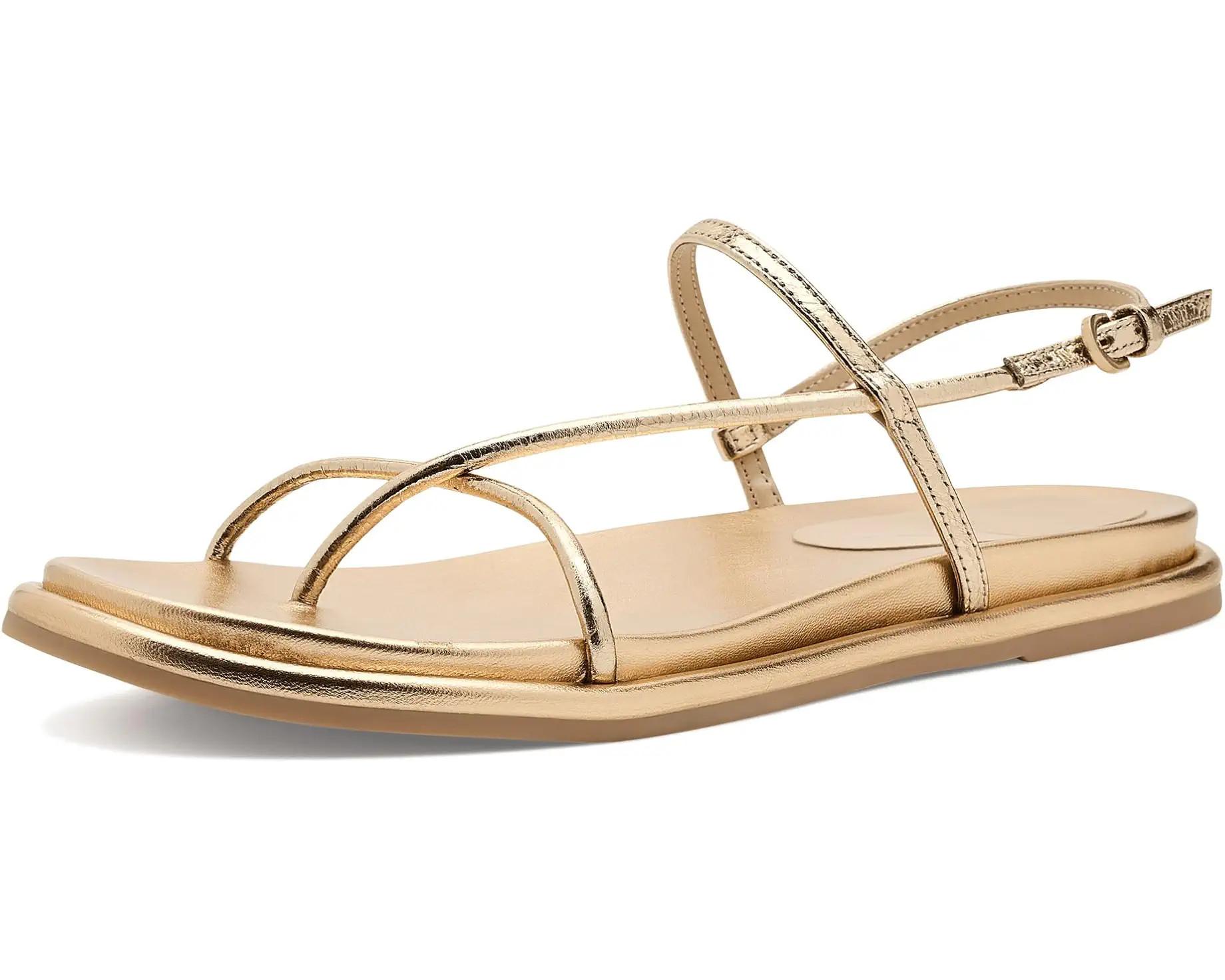 Women's Dolce Vita Dom | Zappos.com