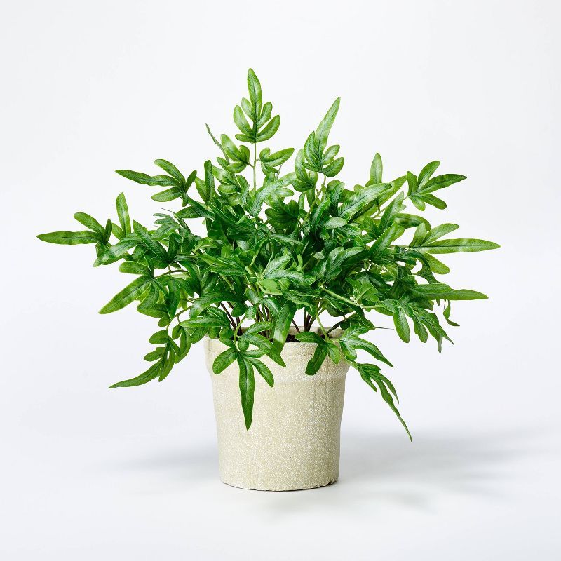 Medium Ribbon Fern Leaf in Pot - Threshold&#8482; designed with Studio McGee | Target