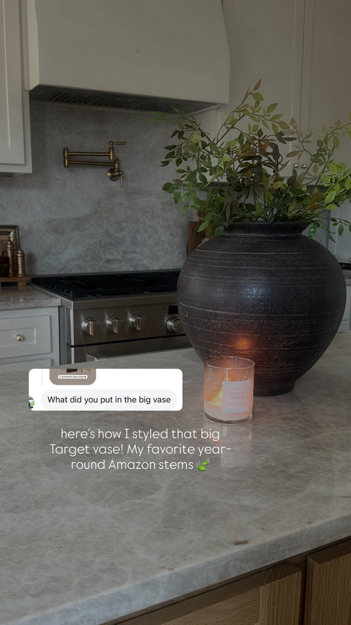 This target vase and Amazon stem combo is my go-to for the kitchen lately! 

Kitchen decor, kitchen counter styling, studio McGee 

#LTKHome #LTKFindsUnder50