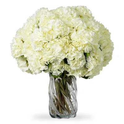 Bouquet Of Hydrangeas White Tones Real Touch 48 Pcs/2 Varieties | Perigold