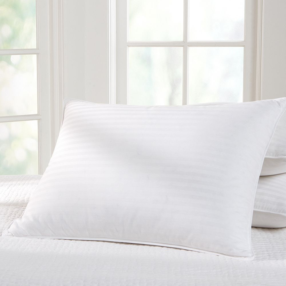 Premium Down Chamber Pillow Insert | Pottery Barn Teen