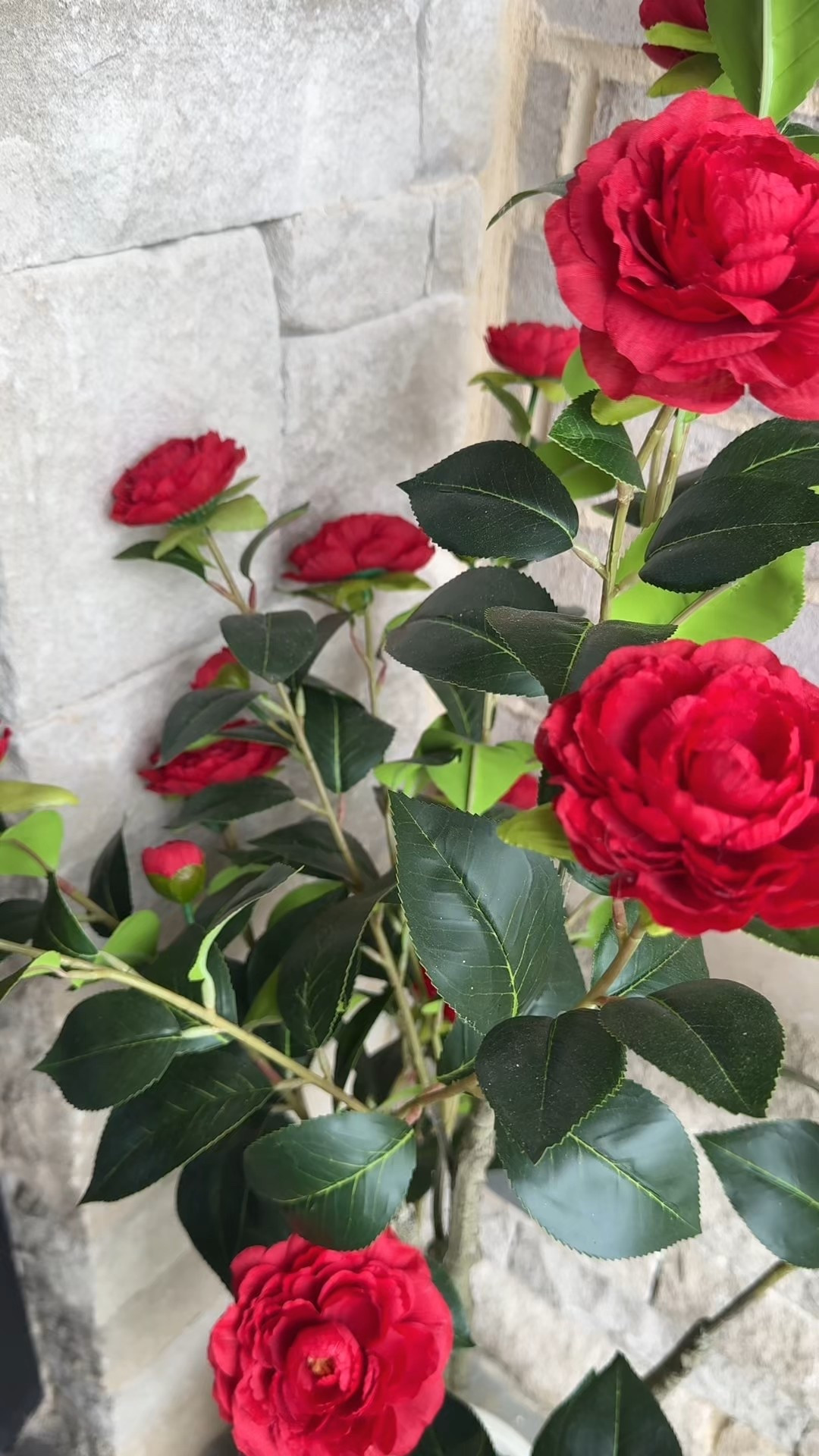 Does this not look real!!!?? I have found some of the best artificial plants all on Amazon! 

#fakeplants #amazonhome

#LTKSummerEdit #LTKHome #LTKSeasonal