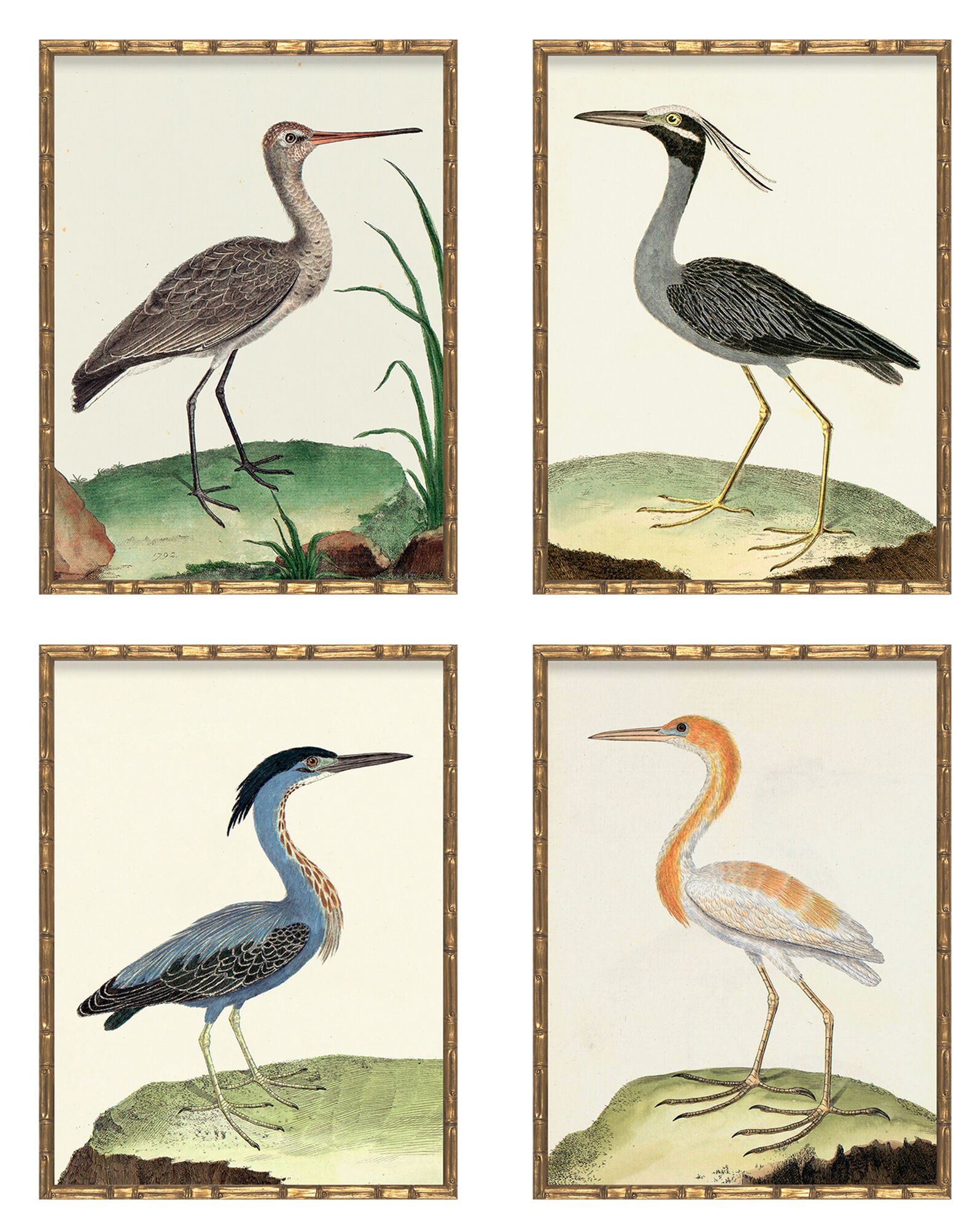 Vintage Birds" in Bamboo Frame - Set of Four II (Birds II, VI, VII, VIII) by Whalebone Creek Prin... | Serena and Lily