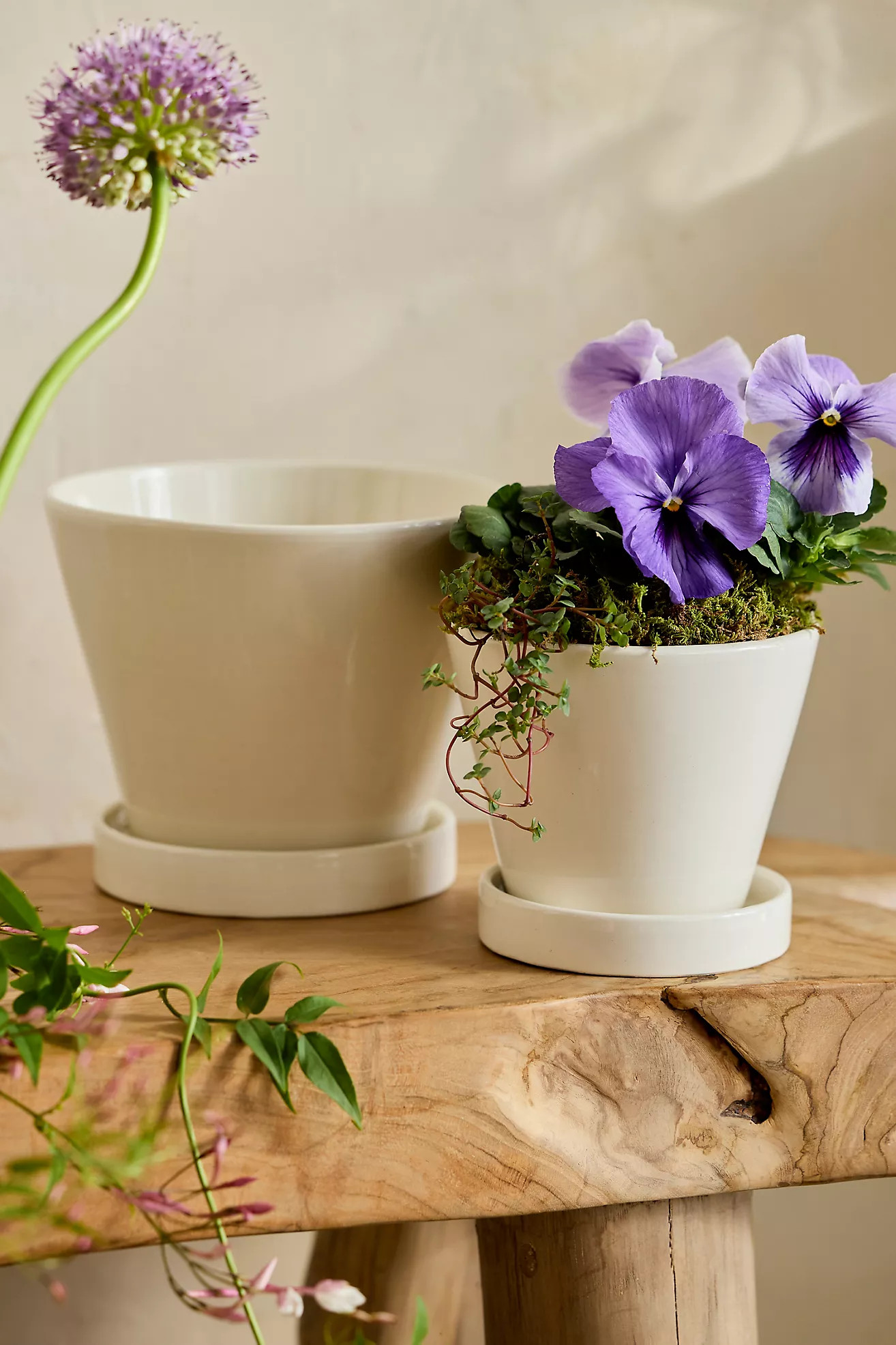 Classic Glazed Galestro Pot + Saucer Set | Terrain