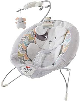 Fisher-Price Sweet Snugapuppy Dreams Deluxe Bouncer | Amazon (US)